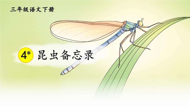 昆蟲備忘錄仿寫(13篇)