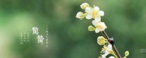 驚蟄怎么讀音