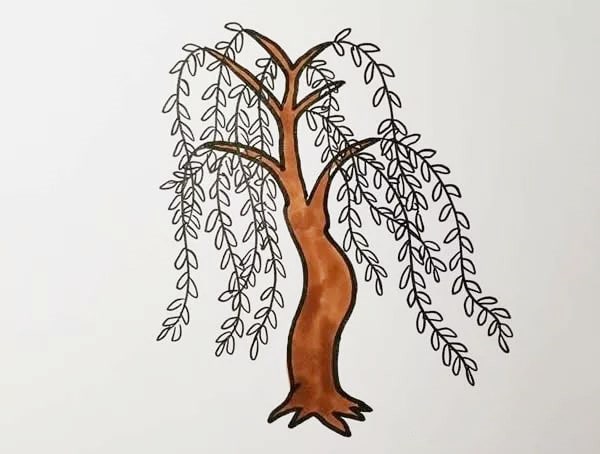 柳樹簡筆畫怎么畫圖片帶顏色