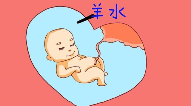 羊水是胎兒生命之水，為什么叫羊水？