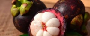 海南特產(chǎn)水果有哪些水果