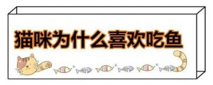 貓為什么喜歡吃魚