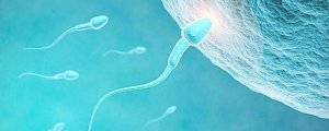 提高男性精子質量，警惕5個不良習慣