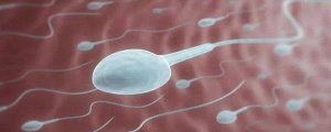 傷害男性精子的6個壞習慣