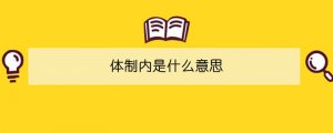 體制內(nèi)是什么意思