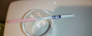 排卵試紙強陽后多久排卵