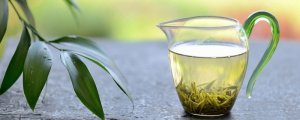 孕婦可以喝綠茶嗎