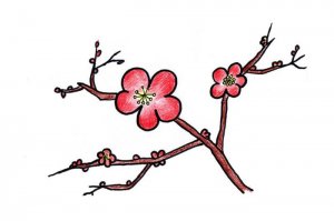 紅梅花簡筆畫怎么畫圖片