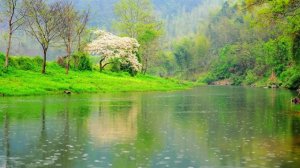 鄉(xiāng)下人家作文400字四年級(jí)