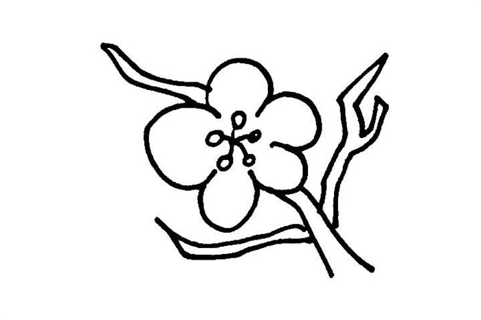 臘梅花簡(jiǎn)筆畫步驟圖片