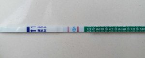 排卵試紙能測早孕嗎