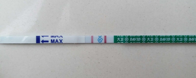 排卵試紙能測早孕嗎