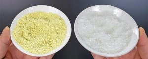 雞精好還是味精好