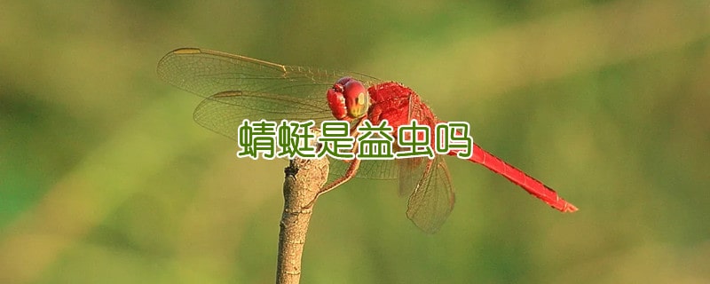 蜻蜓是益蟲嗎