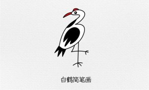 白鶴簡筆畫怎么畫簡單又漂亮