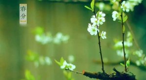 幼兒園春分主題游戲活動(dòng)方案