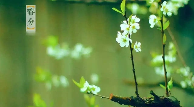 幼兒園春分主題游戲活動(dòng)方案