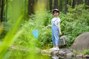屬虎五行缺木的男孩名字