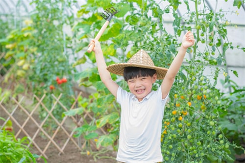 楚辭男孩名字高端大氣