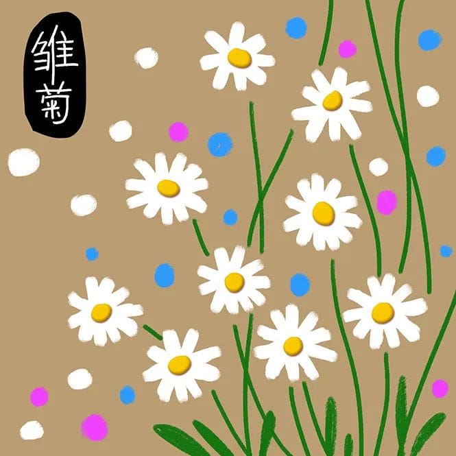 少兒美術(shù)課程《雛菊》