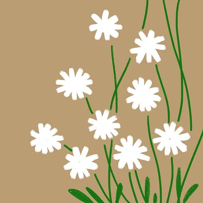 少兒美術(shù)課程《雛菊》