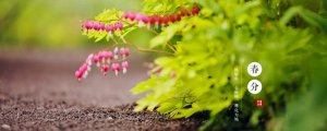 春分古詩(shī)詞十二首
