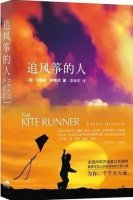 《追風(fēng)箏的人》簡介好書推薦及理由