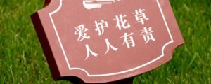愛護(hù)花草樹木的宣傳標(biāo)語