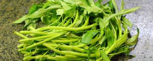 孕婦能吃空心菜嗎