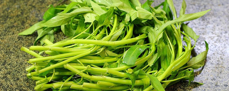孕婦能吃空心菜嗎