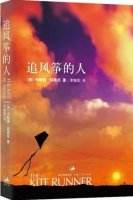 《追風(fēng)箏的人》簡介好書推薦及理由