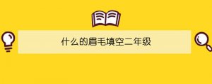 什么的眉毛填空二年級(jí)