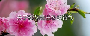 關(guān)于桃花最出名的詩句