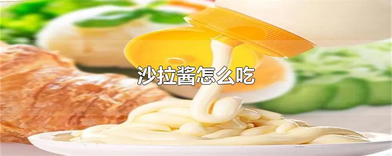 沙拉醬怎么吃