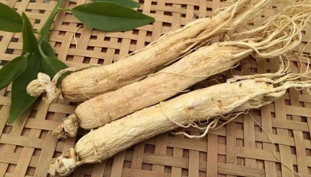孕婦能吃高麗參嗎