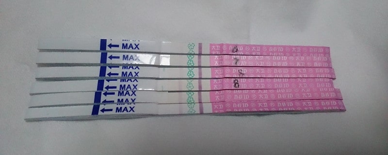 排卵試紙多少錢