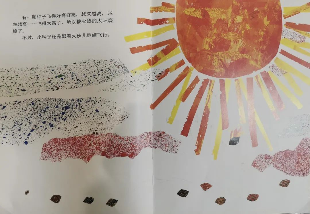 兒童繪本故事《小種子》