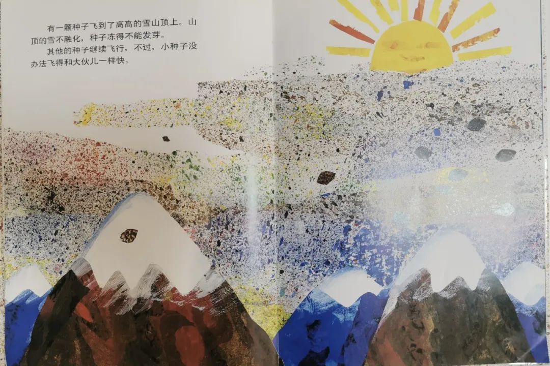 兒童繪本故事《小種子》