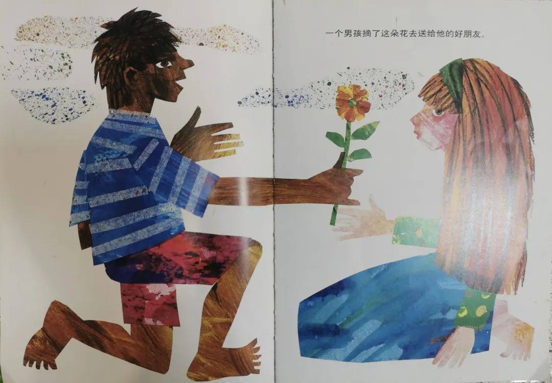兒童繪本故事《小種子》