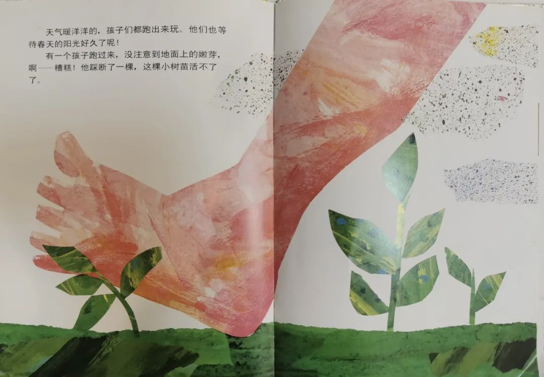 兒童繪本故事《小種子》
