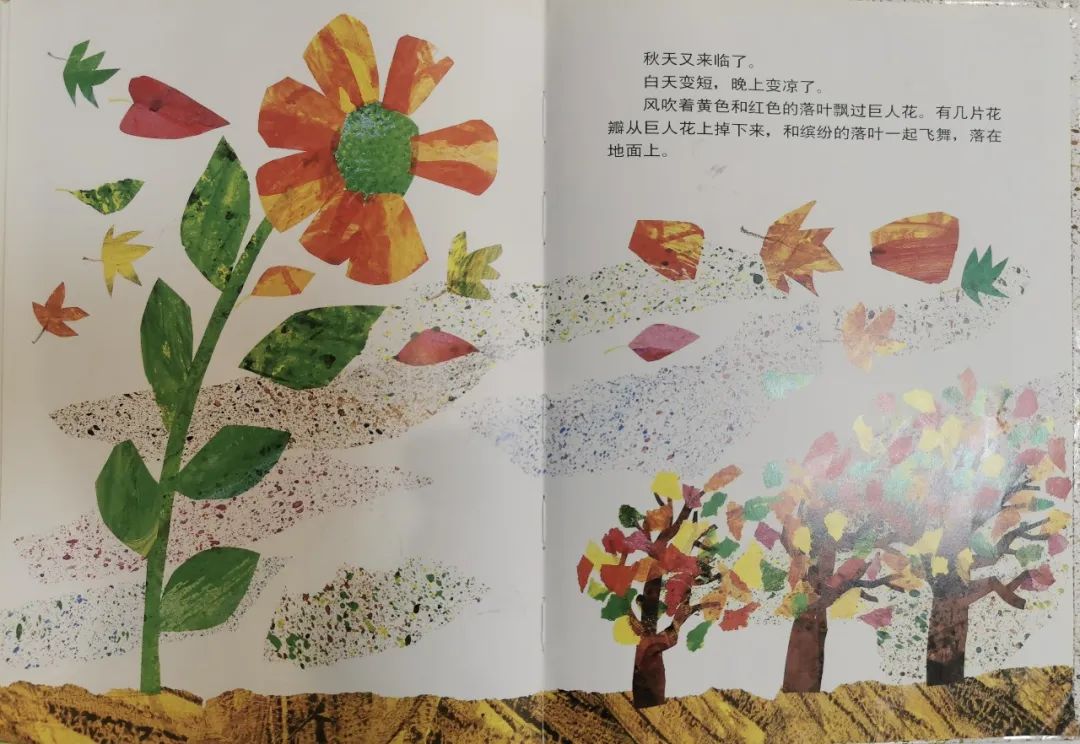 兒童繪本故事《小種子》