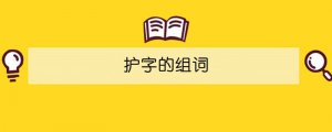 護字的組詞