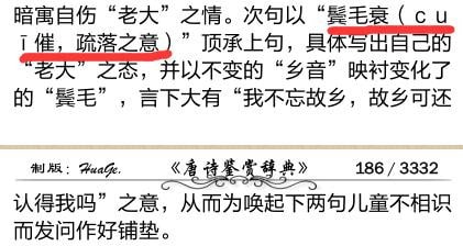 鄉(xiāng)音無改鬢毛衰的衰是什么意思