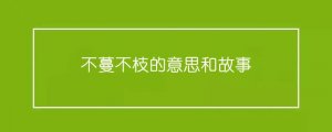 不蔓不枝的意思和故事
