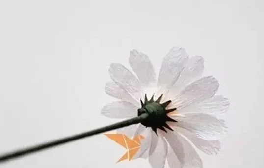 手工制作小雛菊紙藝花