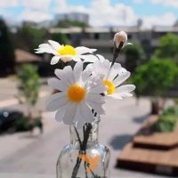 手工制作小雛菊紙藝花