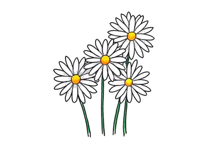 清明節(jié)畫菊花簡(jiǎn)筆畫寄相思