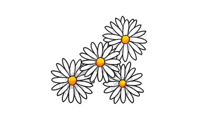 清明節(jié)畫菊花簡(jiǎn)筆畫寄相思